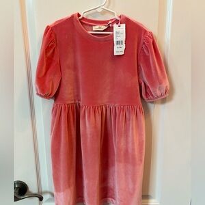 NWT Girls Vineyard Vines Velvet Dress Small 7-8